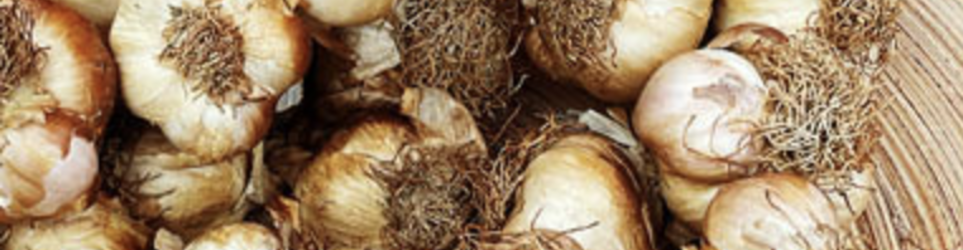 Gerookte knoflook: smaak, gebruik en praktische tips