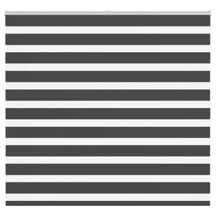 Vidaxl Roleta typu zebra 160x100 cm czarna - 45% taniej