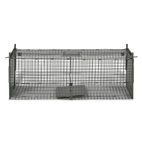 Humanitarna pułapka na zwierzęta 100x26x31 cm - 76% taniej