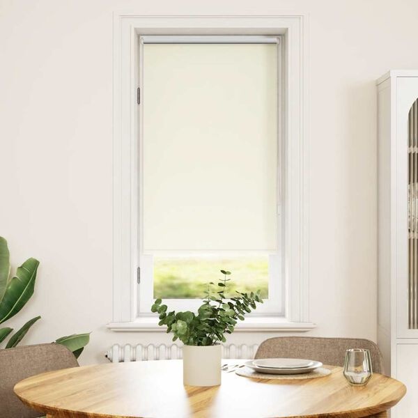 Vidaxl Roleta zaciemniająca 60x120 cm, złamana biel - 55% taniej