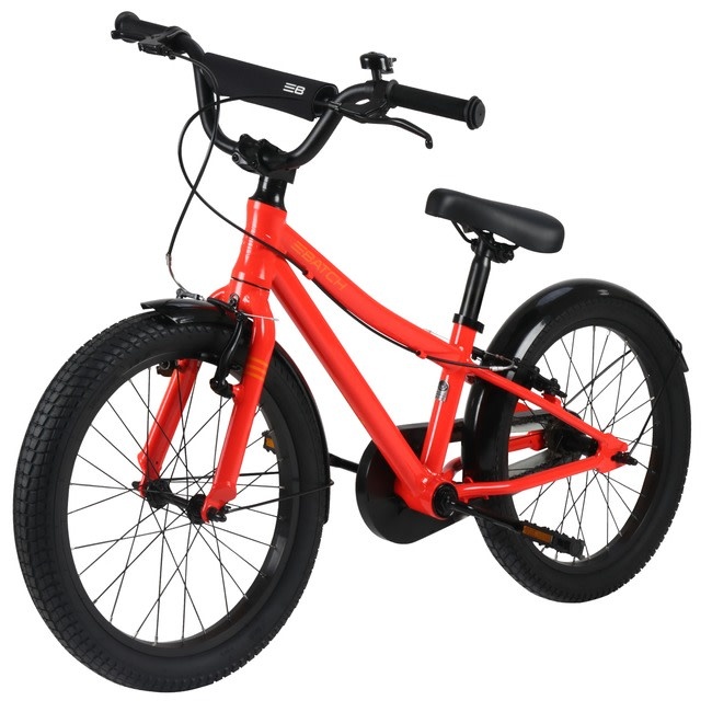 BATCH 20in Kids Bike-5
