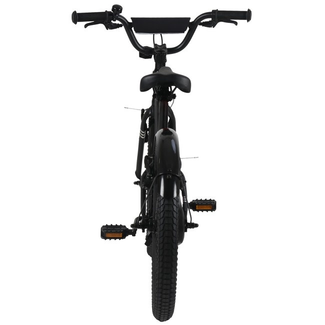 BATCH 20in Kids Bike-8