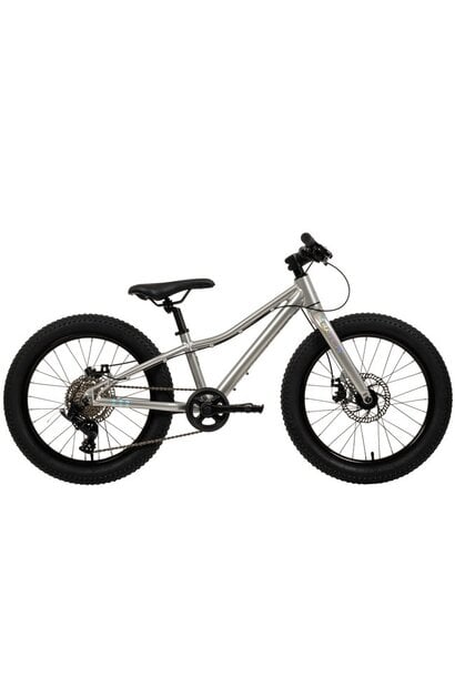 BATCH 20in Kids Mountain Bike