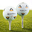 TaylorMade TP5/TP5X PIX AAA kwaliteit