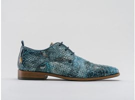 Greg Beau | Blauwe nette schoen