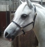 leather headcollar luxe adjustable black