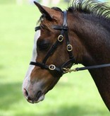 Leather show headcollar