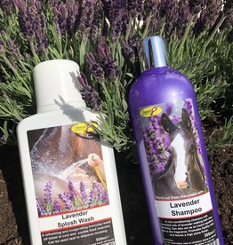 Smart Grooming Lavender shampoo