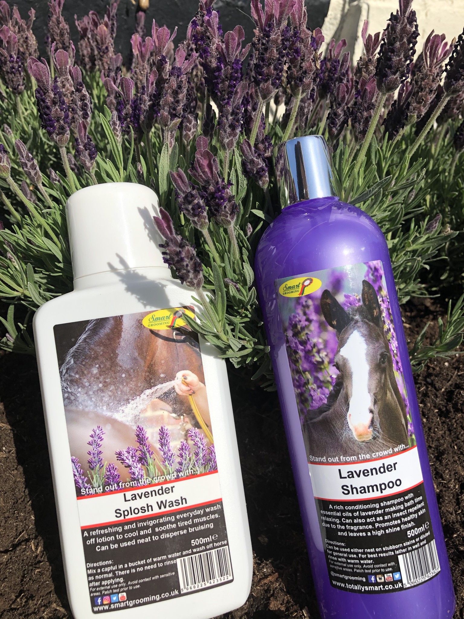 Smart Grooming Lavendel shampoo