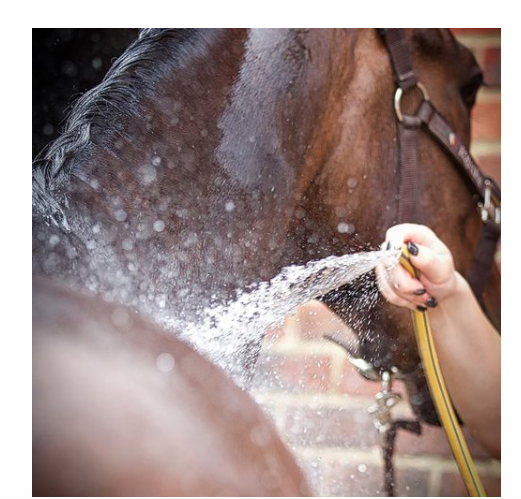 Smart Grooming Lavendel "splosh" was lotion