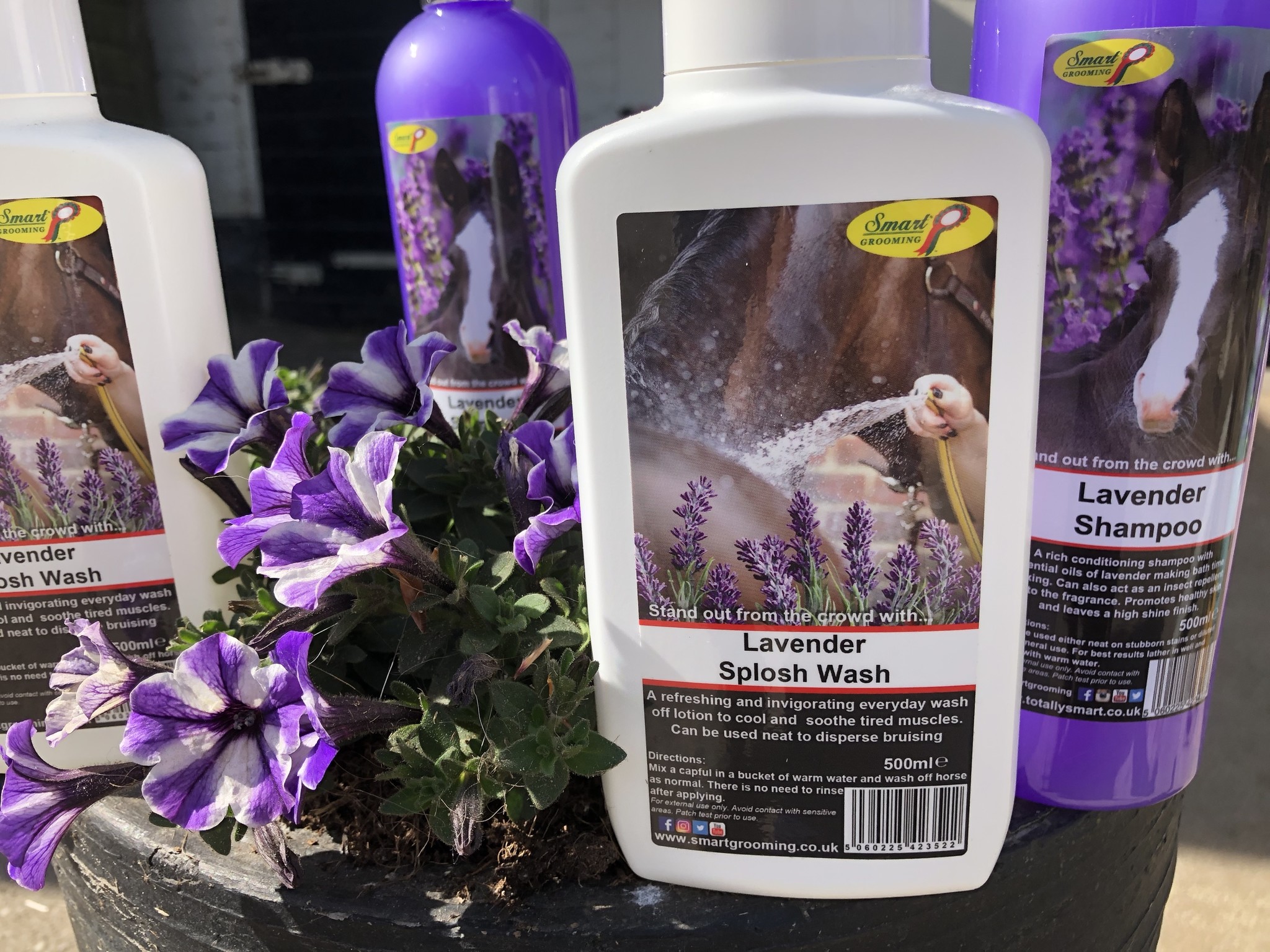 Smart Grooming Lavender Splosh Wash