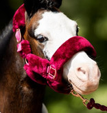 HB Showtime allround fluffy rose/gold headcollar