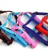 HB foal headcollar nylon mini