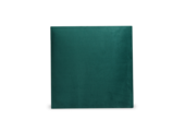 Luxury Velvet Textile Green