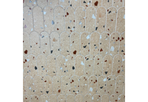 UltraStrong Terrazzo Round Beige
