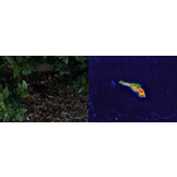 Compact PRO 320x240 pixels Smartphone warmtebeeldcamera