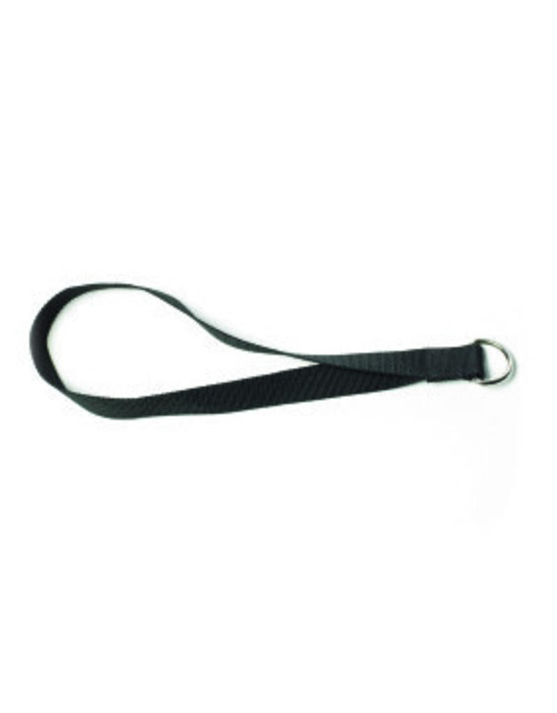 O'LIVE FITNESS O'LIVE RING ANCHOR STRAP