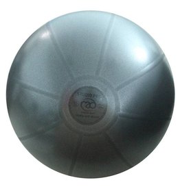 FITNESS MAD Studio Pro anti-burst 500Kg Swiss Gym Ball 65cm (1.7kg) Grey