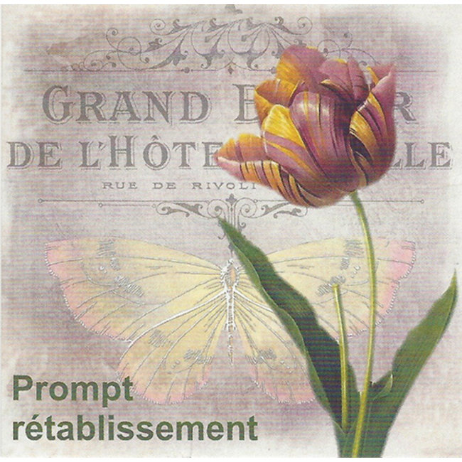 Greeting Card 'Prompt rétablissement' (7x7cm)