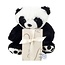 Leonidas 300g chocolates and Panda bear (25cm)