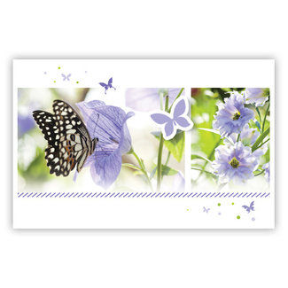 Carte de voeux 'Papillons lila' (11x18cm)