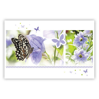 Lila Butterflies (11,5x18cm)