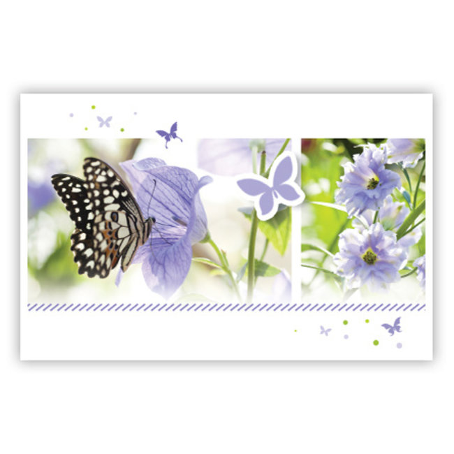 Carte de voeux 'Papillons lila' (11x18cm)