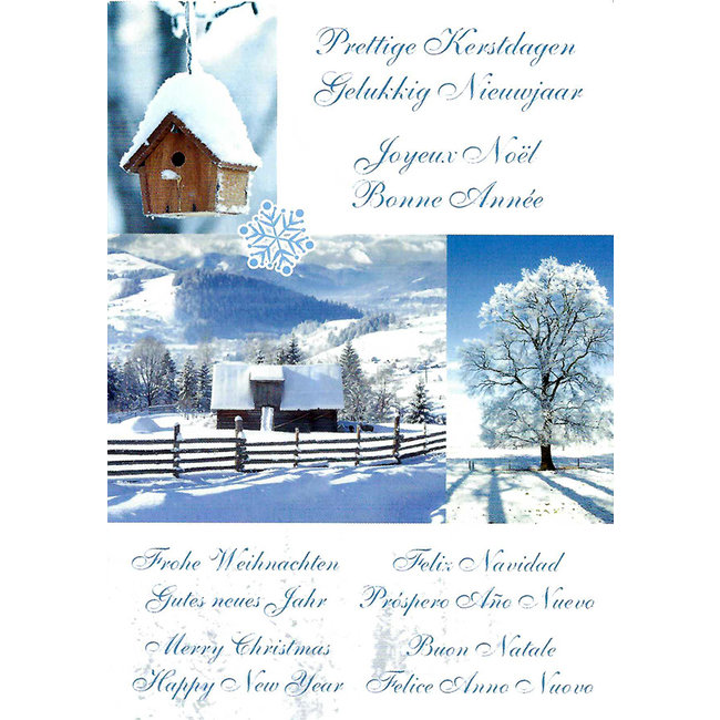 Greeting Card 'Merry Christmas - Happy New Year'