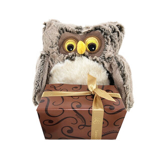 Plush Owl (S) + Autumn Chocolates 350g