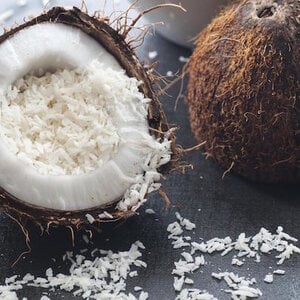 Coconut bars View