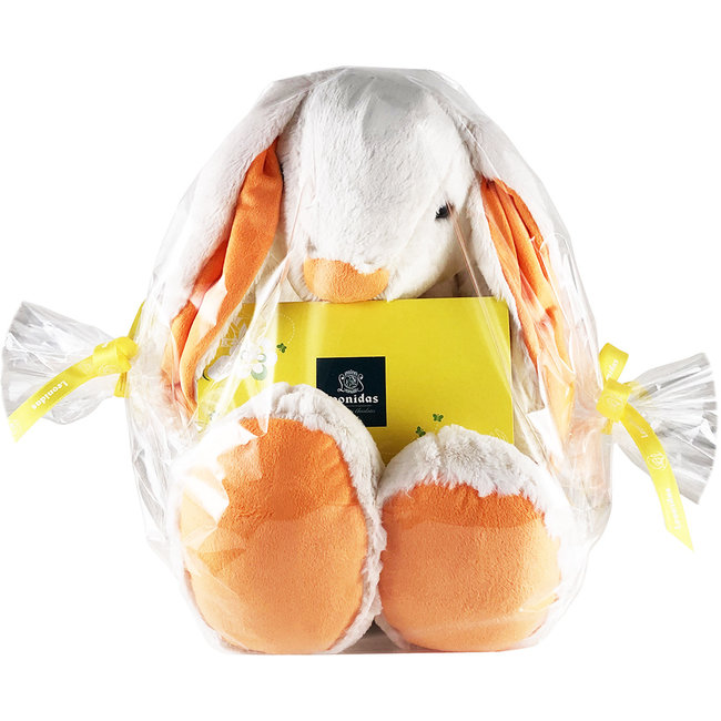 Paaskonijn (40 cm) en 1kg Paaseitjes