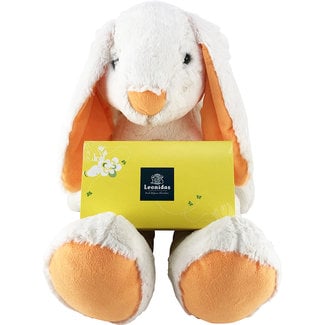 Lapin en peluche (40 cm) + 1kg petits Oeufs de Pâques