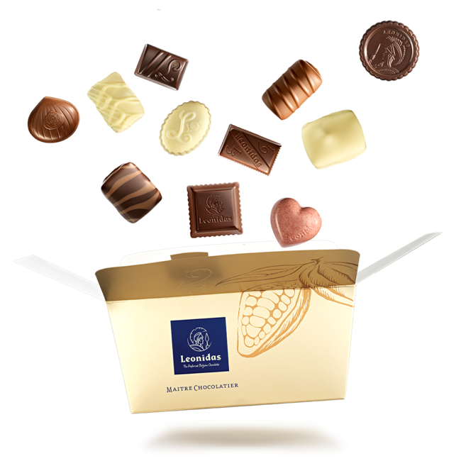 Leonidas Chocolats 300 grammes (assortiment)