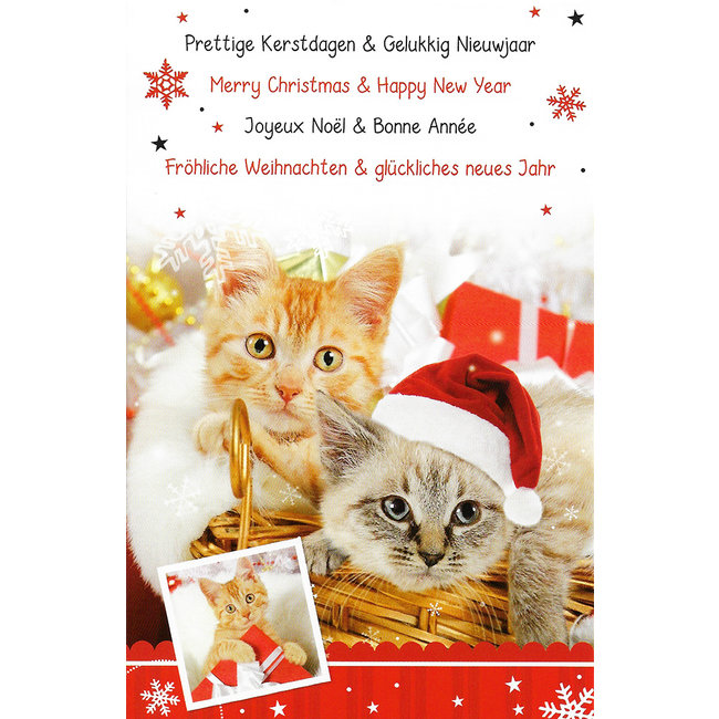 Greeting Card 'Merry Christmas - Happy New Year' (11x17cm)