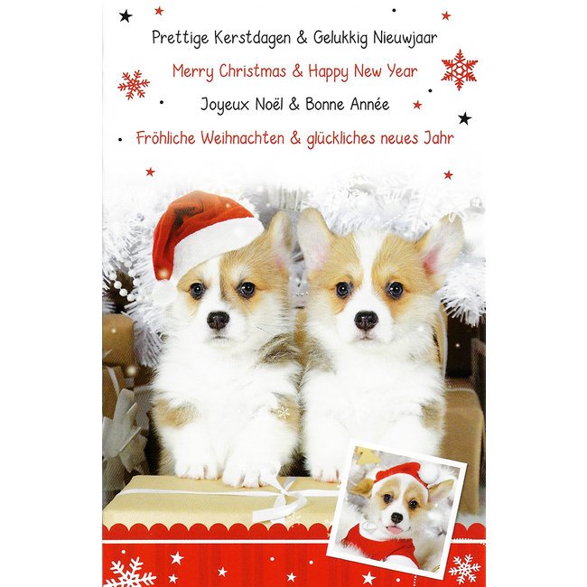 Wenskaart 'Prettige Kerstdagen - Gelukkig Nieuwjaar' (11x17cm)