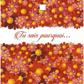 Grußkarte 'Tu sais pourquoi...' (7x7cm)