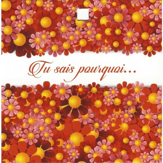 Carte de voeux 'Tu sais pourquoi...' (7x7cm)