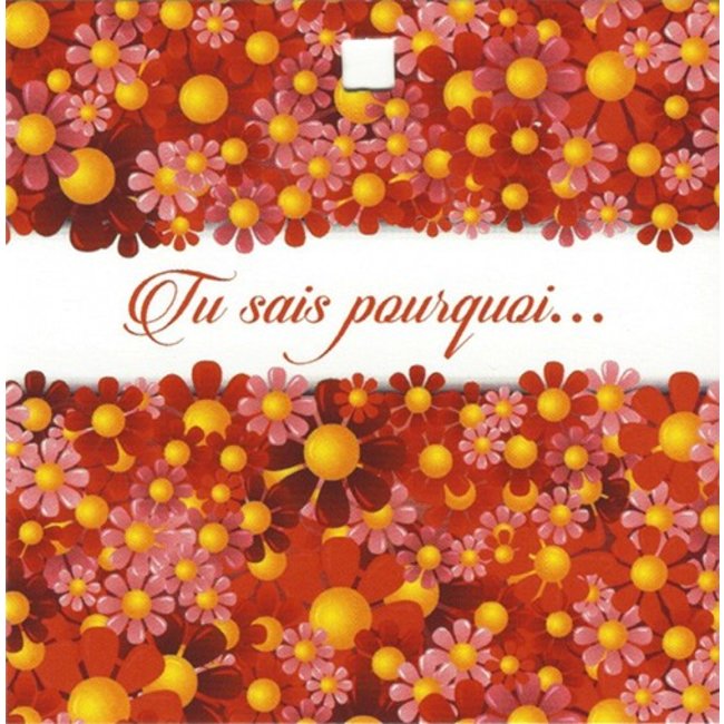 Greeting Card 'Tu sais pourquoi...'