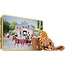Jules Destrooper biscuits in metal box 'Bruges' 250g
