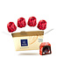 Leonidas 19 Leonidas Kirschlikör-Pralinen Cerise mit Sauerkirsche - Premium Genuss