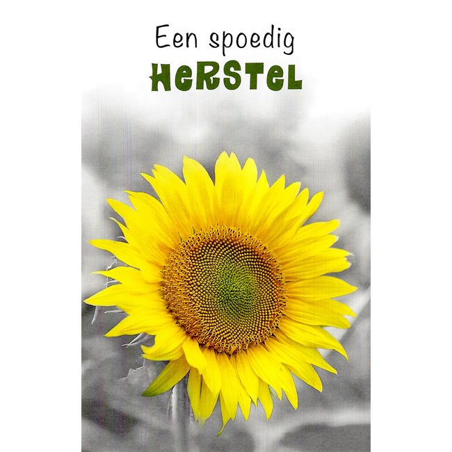 Wenskaart 'Een spoedig herstel' (11x17cm)