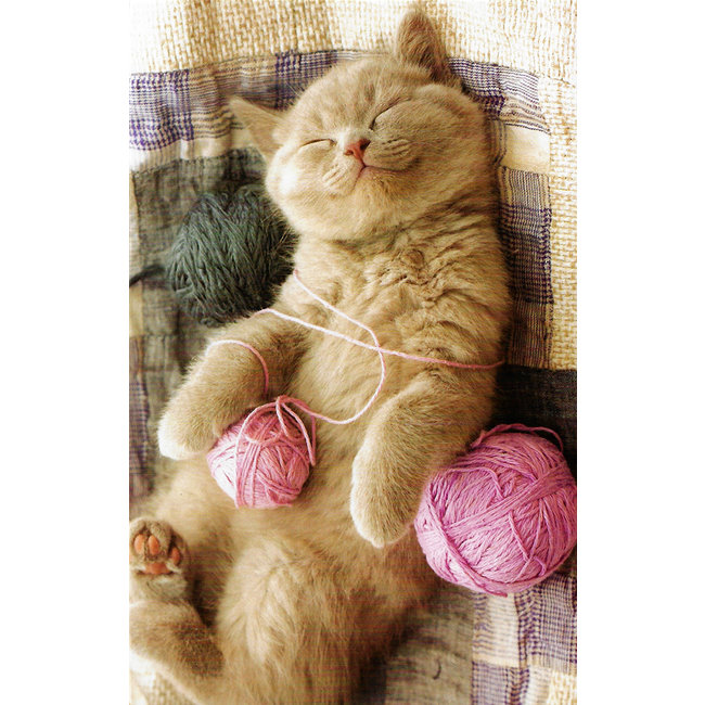 Greeting Card 'Cat' (11x17cm)
