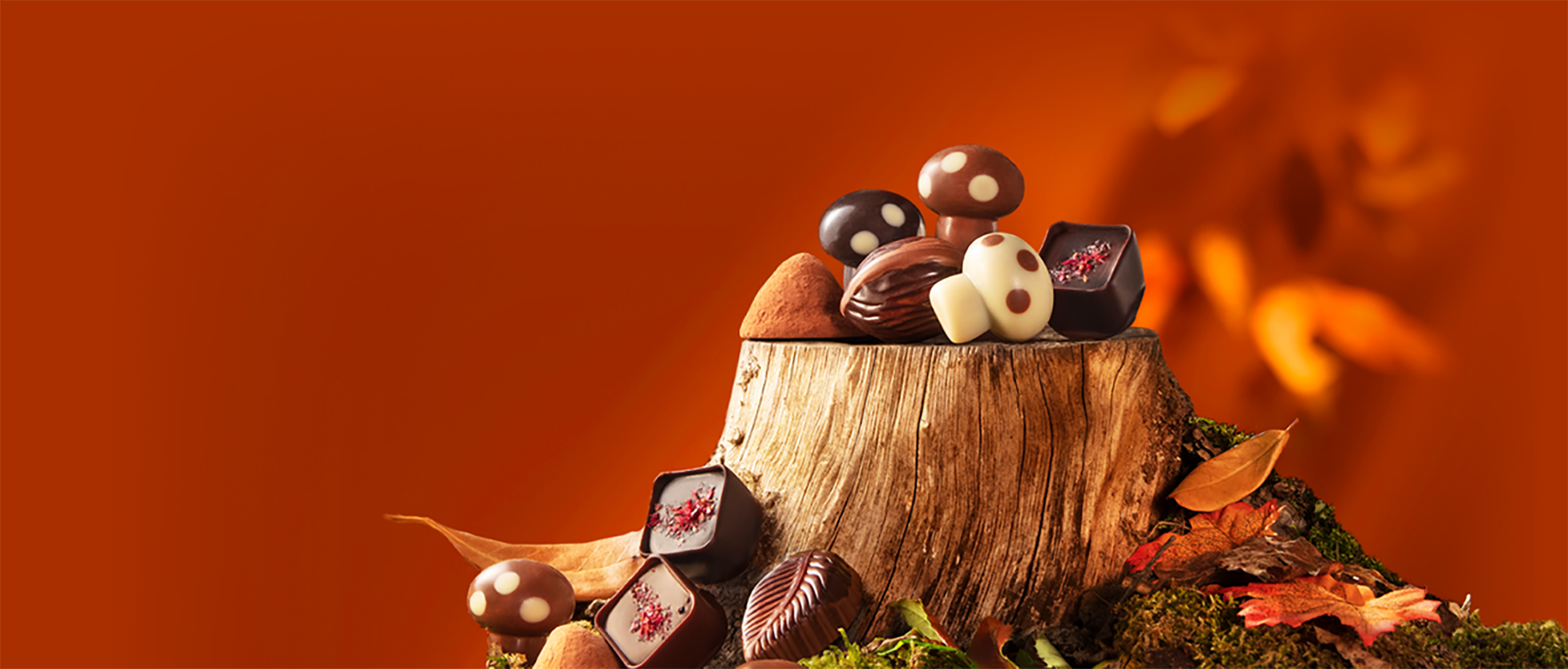 Leonidas Herfst en Halloween Chocolade Cadeaus