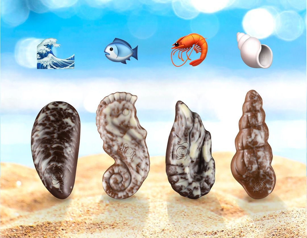 Seashells: Bring the beach to your home