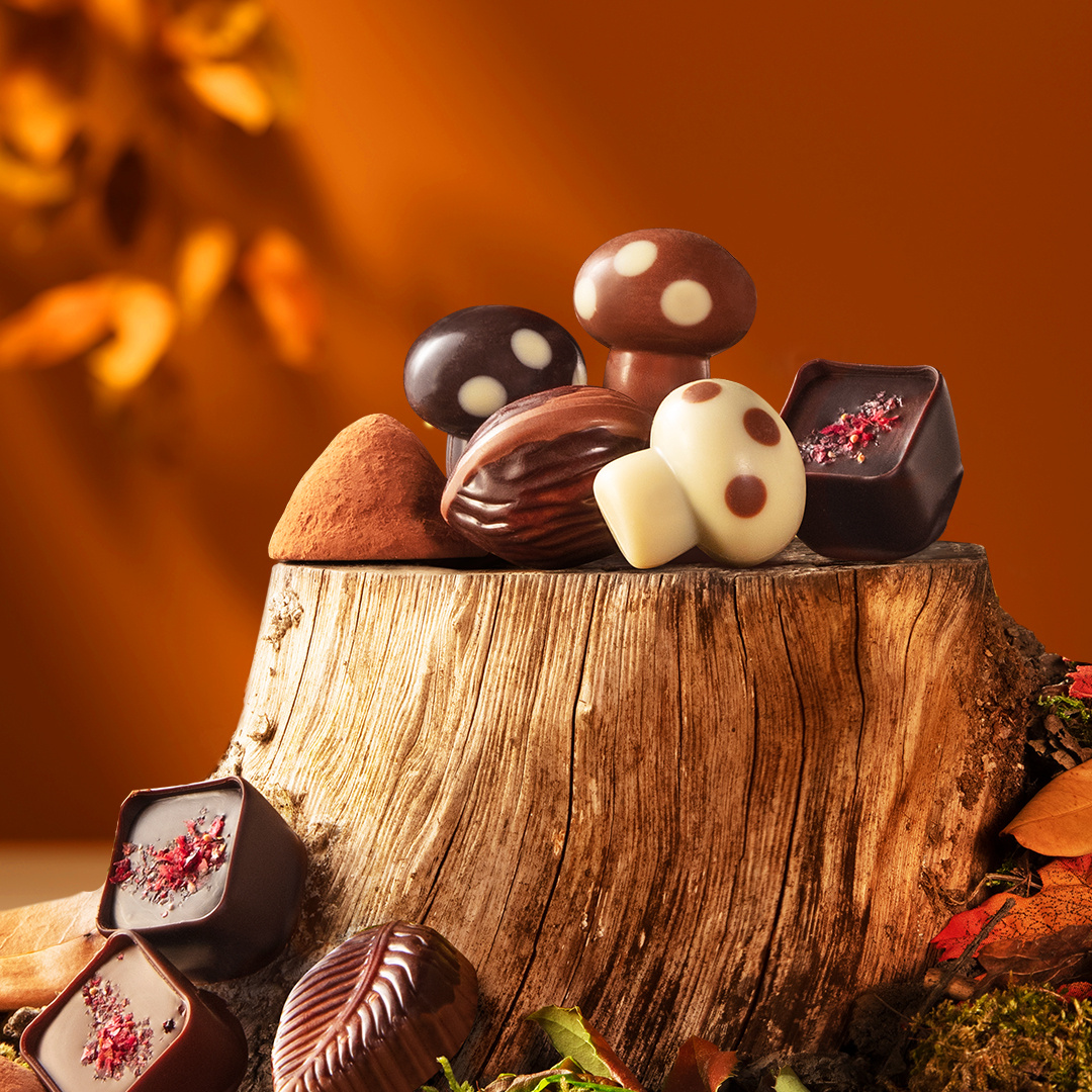 Herfst Pralines en Luxe Chocolade Cadeaus