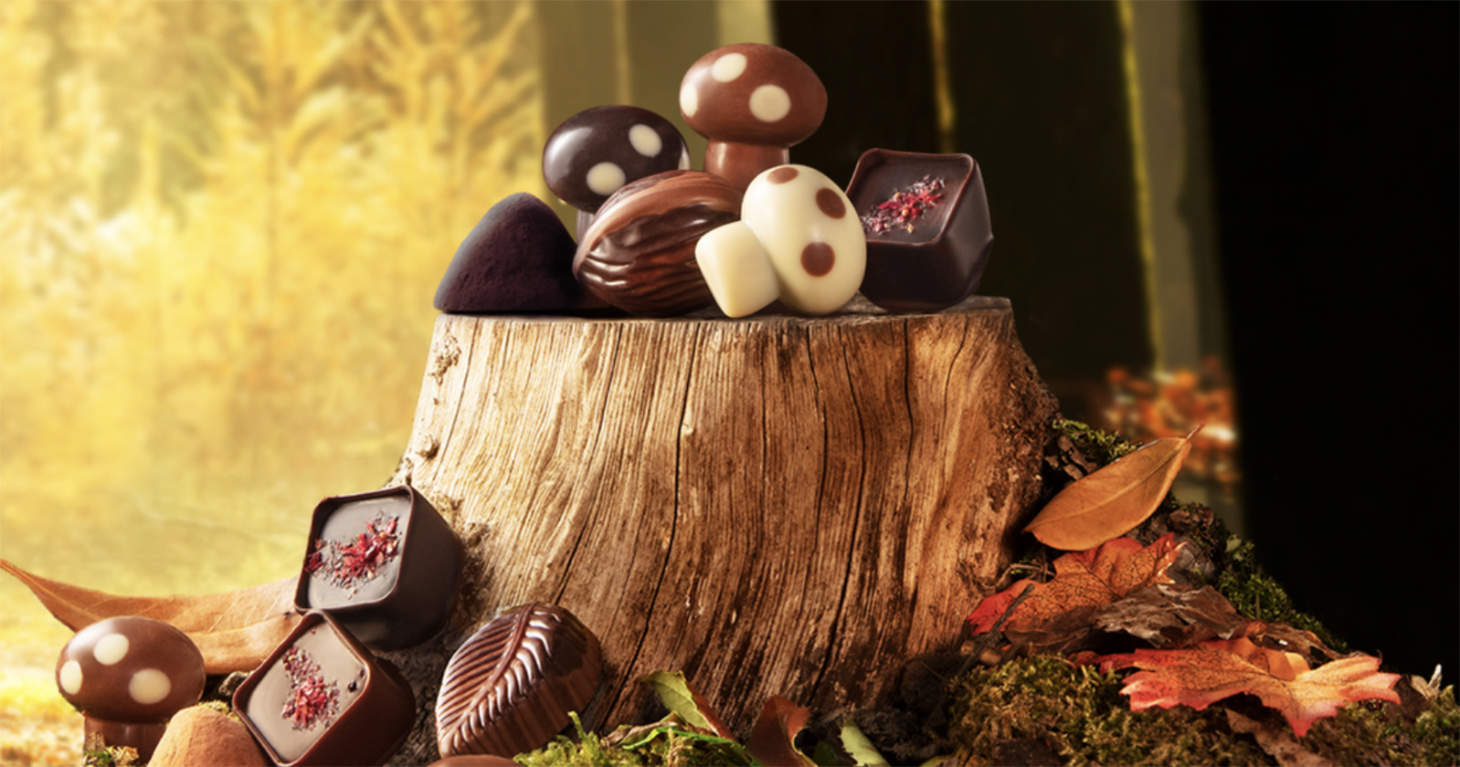 Go wild for our autumn flavours