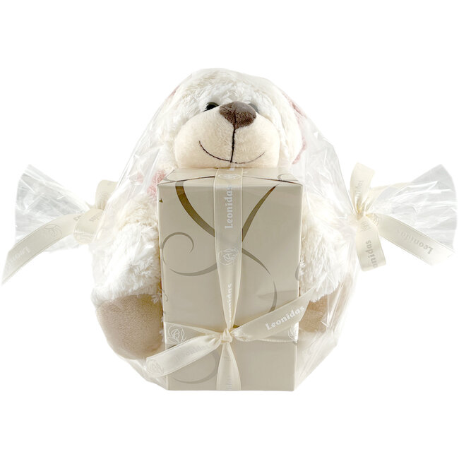 Leonidas 300g Pralinen und Teddybär Ruby (S)