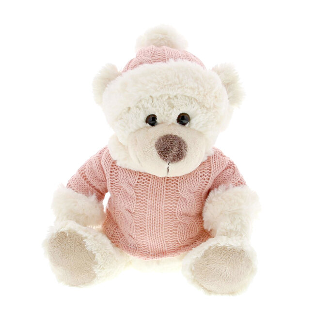 Leonidas 300g chocolates and Teddy bear Ruby (S)