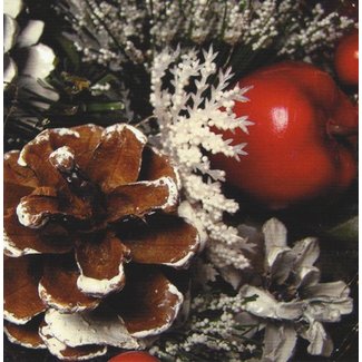 Grußkarte 'Tannenzapfen' (7x7cm)