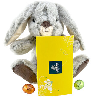 Paaskonijn (20 cm) + 375g Paaseitjes